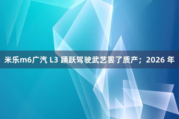米乐m6广汽 L3 踊跃驾驶武艺罢了质产；2026 年
